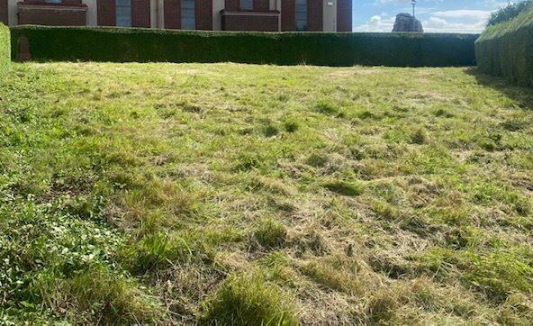 Site at Dunmore Lawn, Ballinlough, Co. Cork