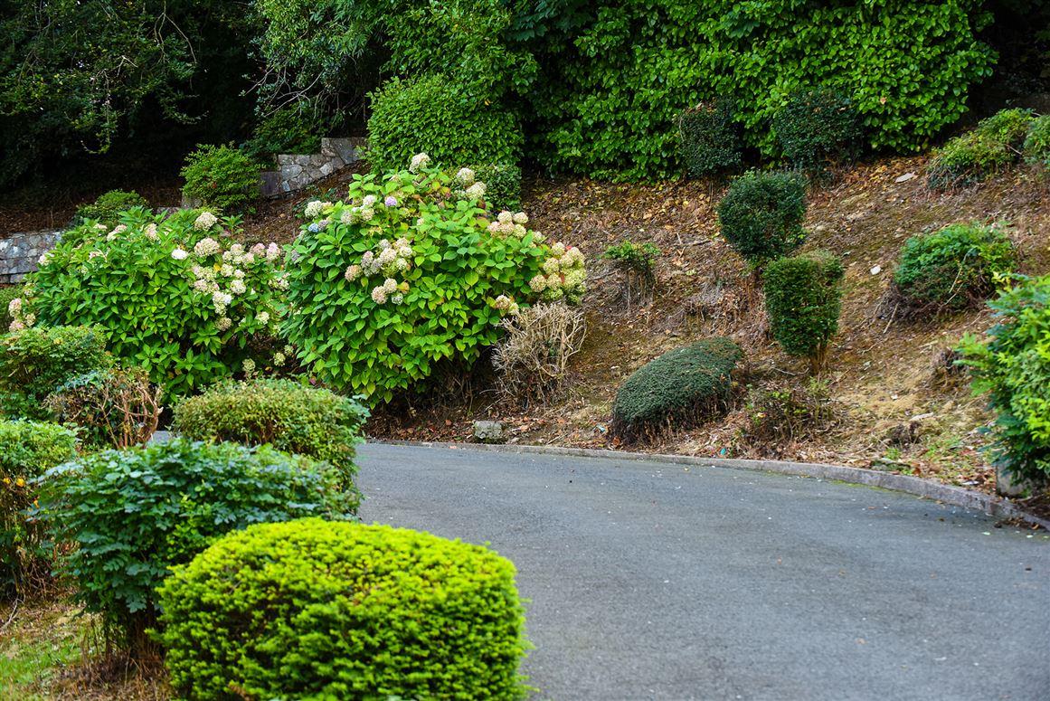 Anglesea House, Lower Kensington, Coach Hill, Cork, Rochestown, Co. Cork
