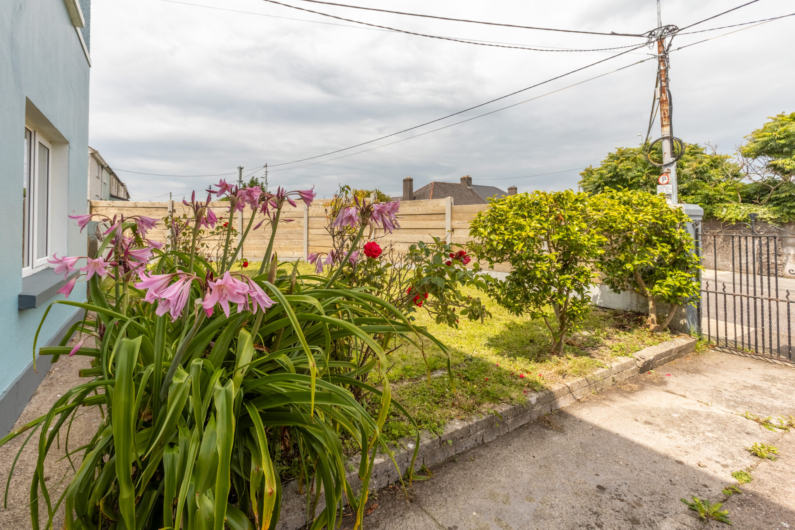 1690377941 256 17988 Ugf0cmljawegu3rva2vzic0gvghliefuy2hvcmfnzsatidigtw91bnqgugxlyxnhbnqglsbudxjuzxjzienyb3nzltcz