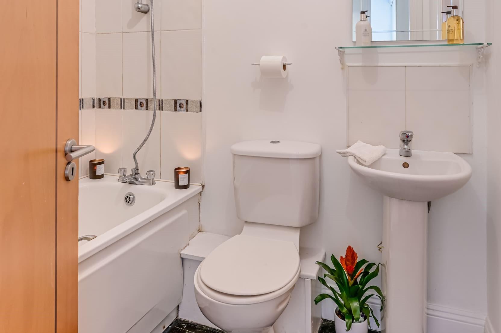 Son Bathroom Landscape
