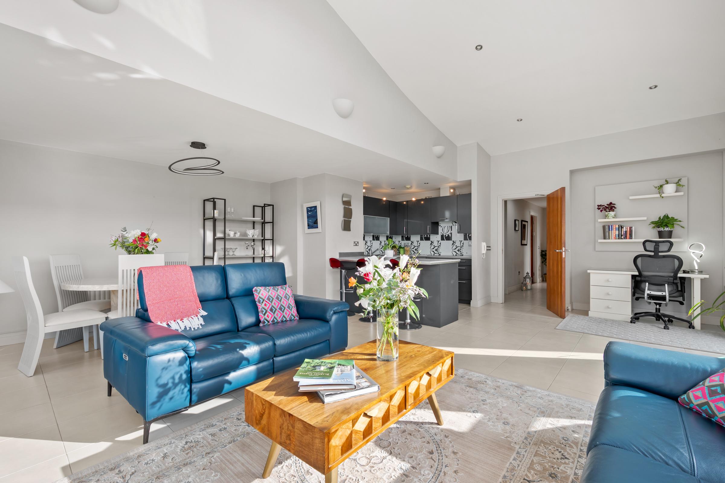 04.09 652 The Kingfisher, The Sanctuary, Jacob's Island, Mahon, Cork Stokes H Pix Web 08