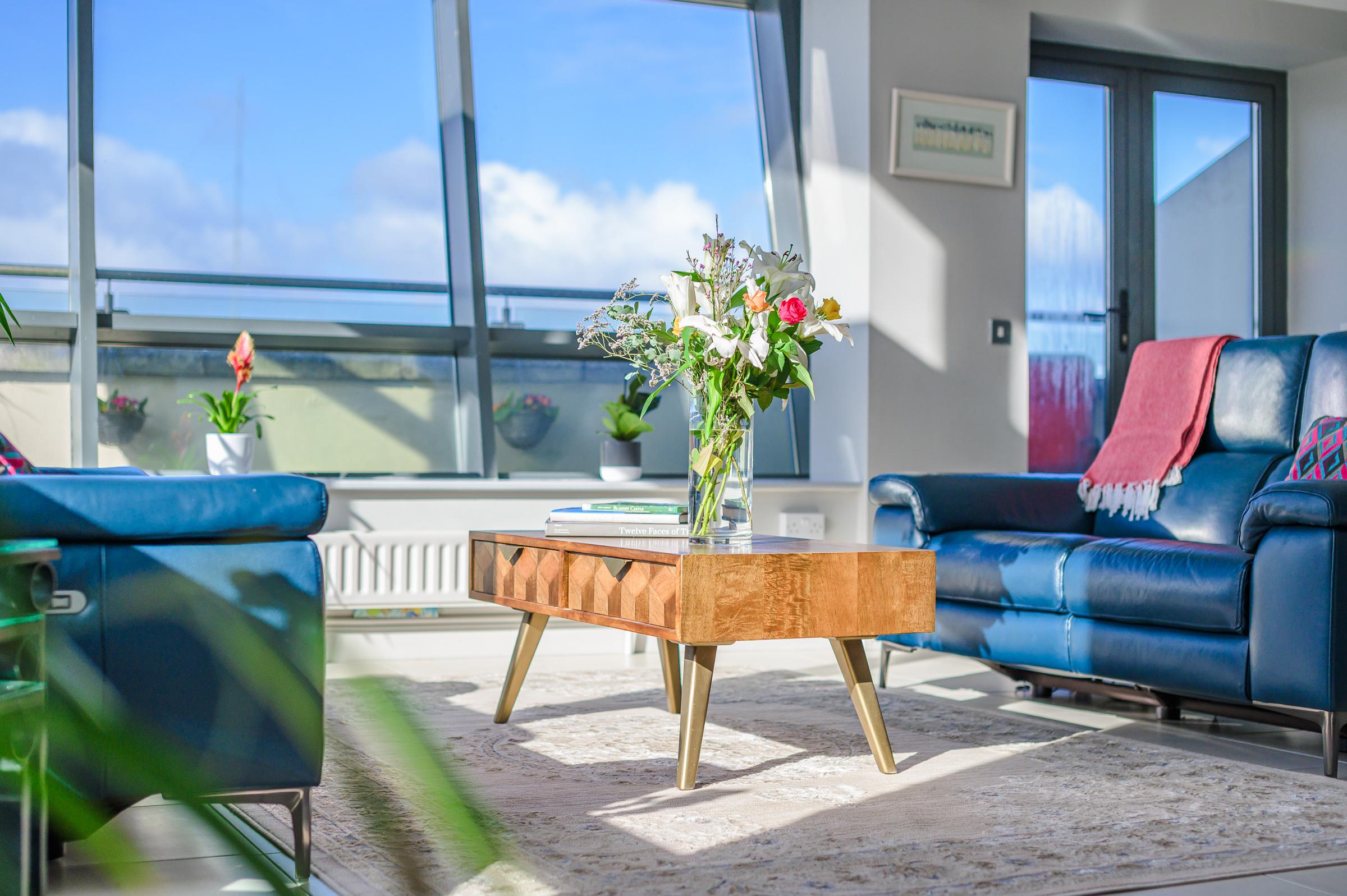 04.09 652 The Kingfisher, The Sanctuary, Jacob's Island, Mahon, Cork Stokes H Pix Web 18