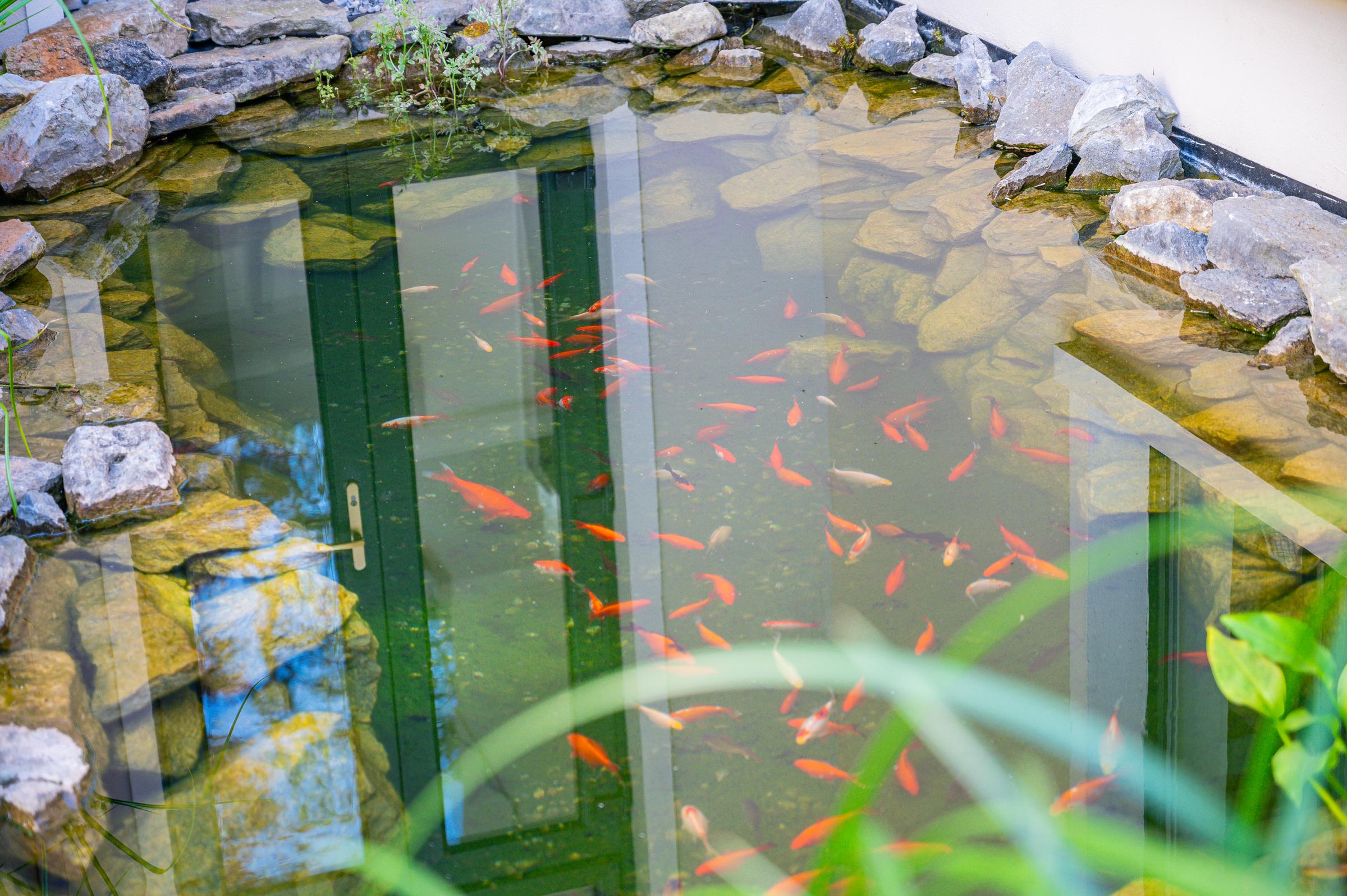 06.06 Sunnyside House 1, Barringtons Avenue, Blackrock Stokes H Pix Web 25